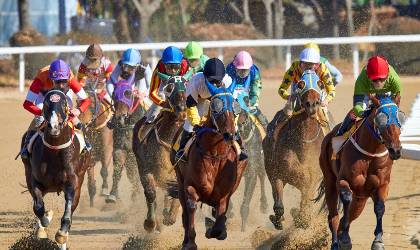 Famous Horse Racing Tracks You Should Visit